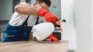 Best Pest Control for Multi-Family Homes  in Harper Woods, MI